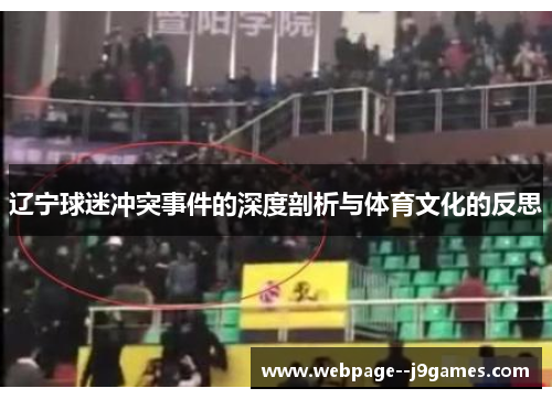 辽宁球迷冲突事件的深度剖析与体育文化的反思